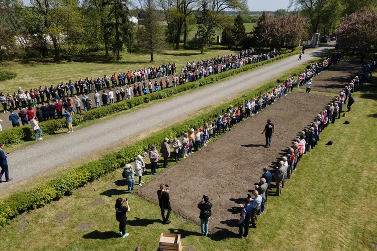 Łąkę kwietną wysiały jednocześnie 393 osoby.