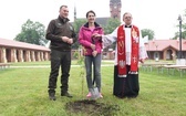 Drzewa świętych w Szczepanowie