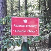 Śląskie. Rezerwat Sokole Góry na Jurze nieznacznie powiększony