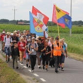 Pielgrzymka widziana z drzewa