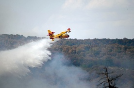 Grecja utraciła w tym roku w pożarach 161 tys. hektarów lasów, najwięcej ze wszystkich krajów południa Europy