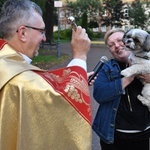 Błogosławieństwo zwierząt w Nowej Soli