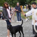 Błogoslawieństwo zwierzat w dzień św. Franciszka z Asyżu