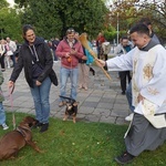 Błogoslawieństwo zwierzat w dzień św. Franciszka z Asyżu