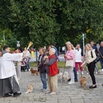 Błogoslawieństwo zwierzat w dzień św. Franciszka z Asyżu