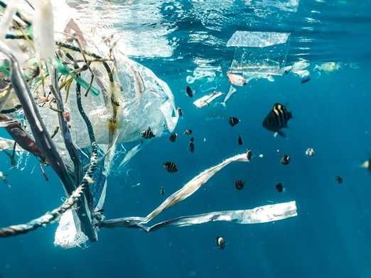 Ilość plastiku na dnie morskim potroiła się w ostatnich 20 latach