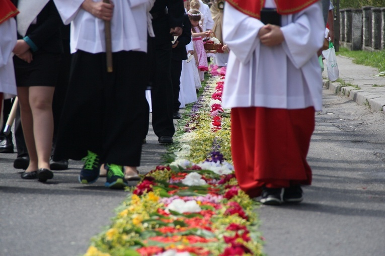 Tradycja kwietnych dywanów na Boże Ciało w Kluczu, Olszowej, Zalesiu Śląskim i Zimnej Wódce