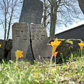 Cmentarz na Łąkowej jest jednym z nielicznych dowodów obecności społeczności żydowskiej przed wojną.