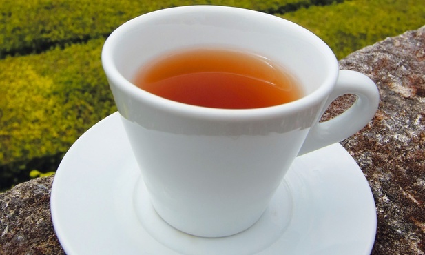 Jak herbata wpływa na zdrowie?