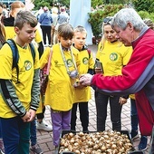 Sadzenie żonkili pod zielonogórskim hospicjum.