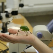 Noc Biologów, czyli bliższe spotkanie z przyrodą