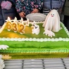 W dniu urodzin miasta, w chełmskich podziemiach częstowano tortem urodzinowym.