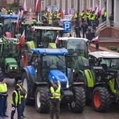 Wiceminister rolnictwa: to nie jest protest przeciwko polskiemu rządowi
