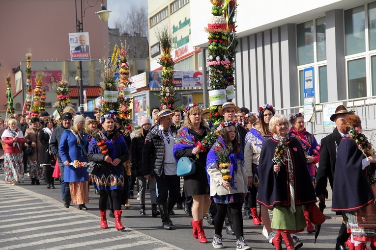 Wielkie kolorowe palmy w Trzebnicy