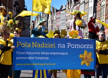 Żonkilowa Parada na rzecz hospicjów