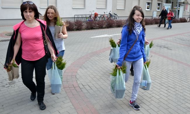 Stalowa Wola. Drzewko za makulaturę