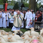 Ludźmierz. Święto Bacowskie z błogosławieństwem stada owiec