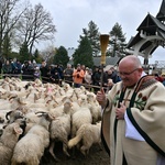 Święto Bacowskie w Ludźmierzu 