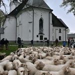 Święto Bacowskie w Ludźmierzu 