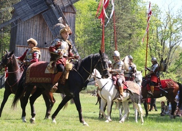 Koń w służbie wojskowej