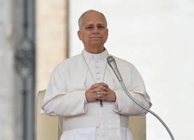 Leon XIV: spotykajmy wyznawców innych religii jako towarzyszy podróży na drodze prawdy