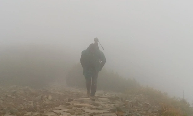 To przejdzie. Trzeba tylko wyrtwać i iść dalej