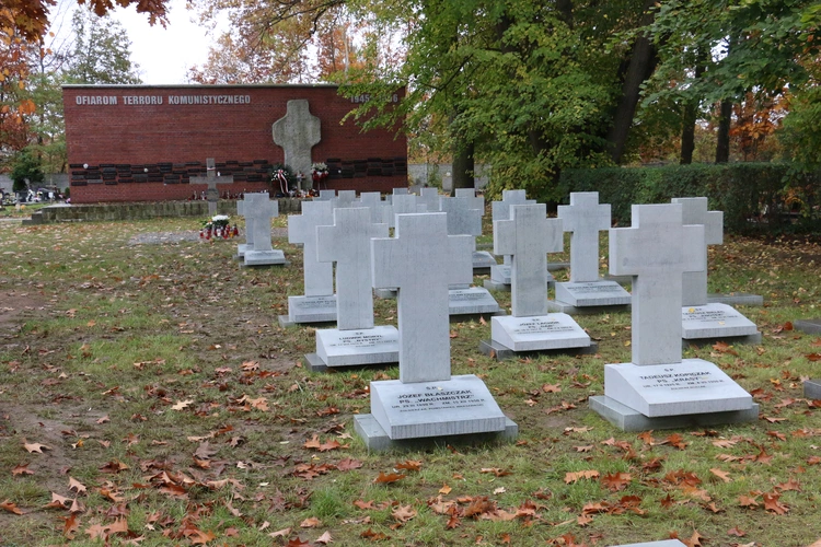 Kwatedra honorowa żołnierzy wyklętych na cmentarzu Osobowickim nabiera kształtu