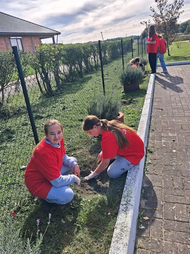 Wolontariuszki obsadziły cebulami kwiatów rabatę przy szkole. Samarytanie z Piecnika też posadzili cebule