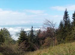 Refleksja na dziś - Uroczystość Wszystkich Świętych i 31. tydzień zwykły