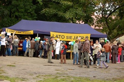 Niebiańska Kardiologia