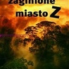 W poszukiwaniu zaginionych miast Amazonii