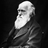 Nowość Darwinizmu