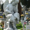 Anioł z bielskiego cmentarza.