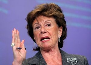 Neelie Kroes 