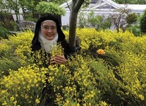 Karmel wśród gejzerów