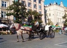 Kraków: Zakaz wjazdu dla dorożek?