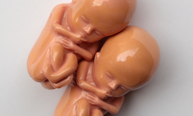 Amerykański kongresmen sprzeciwia się aborcji
