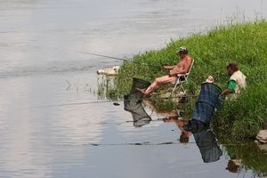 Naturalne rzeki korzystniejsze dla środowiska