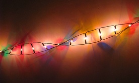 Badanie DNA można sfałszować