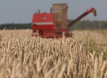 Jasnogórskie dożynki i wystawa rolnicza