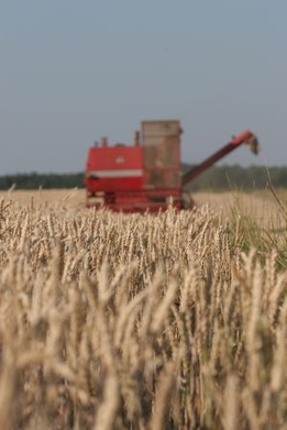 Jasnogórskie dożynki i wystawa rolnicza