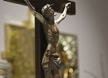 Apostoł trędowatych