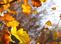 Oswoić jesienną depresję