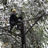 Bez prądu nadal tysiące gospodarstw w kraju