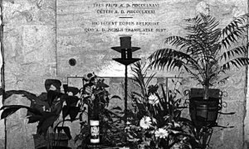 Tragiczna historia
