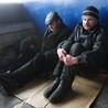 Rusza bezpłatna infolinia dla bezdomnych