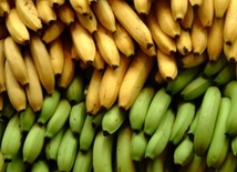 Koniec wojny bananowej 