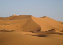 Kości prakrokodyli na Saharze