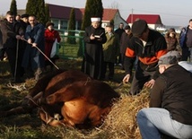 Święto Ofiarowania muzułmanów