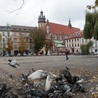 Miasta katolickie i protestanckie bogaciły się tak samo